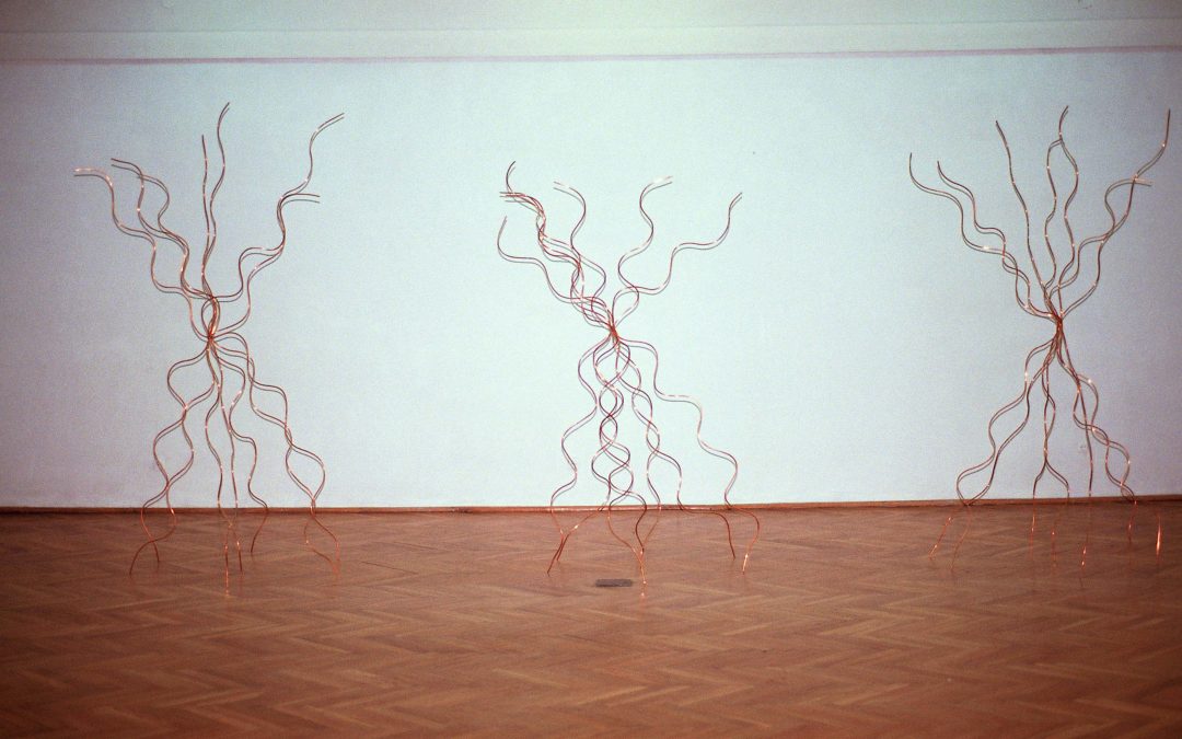 1991 / ZIELONA GORA